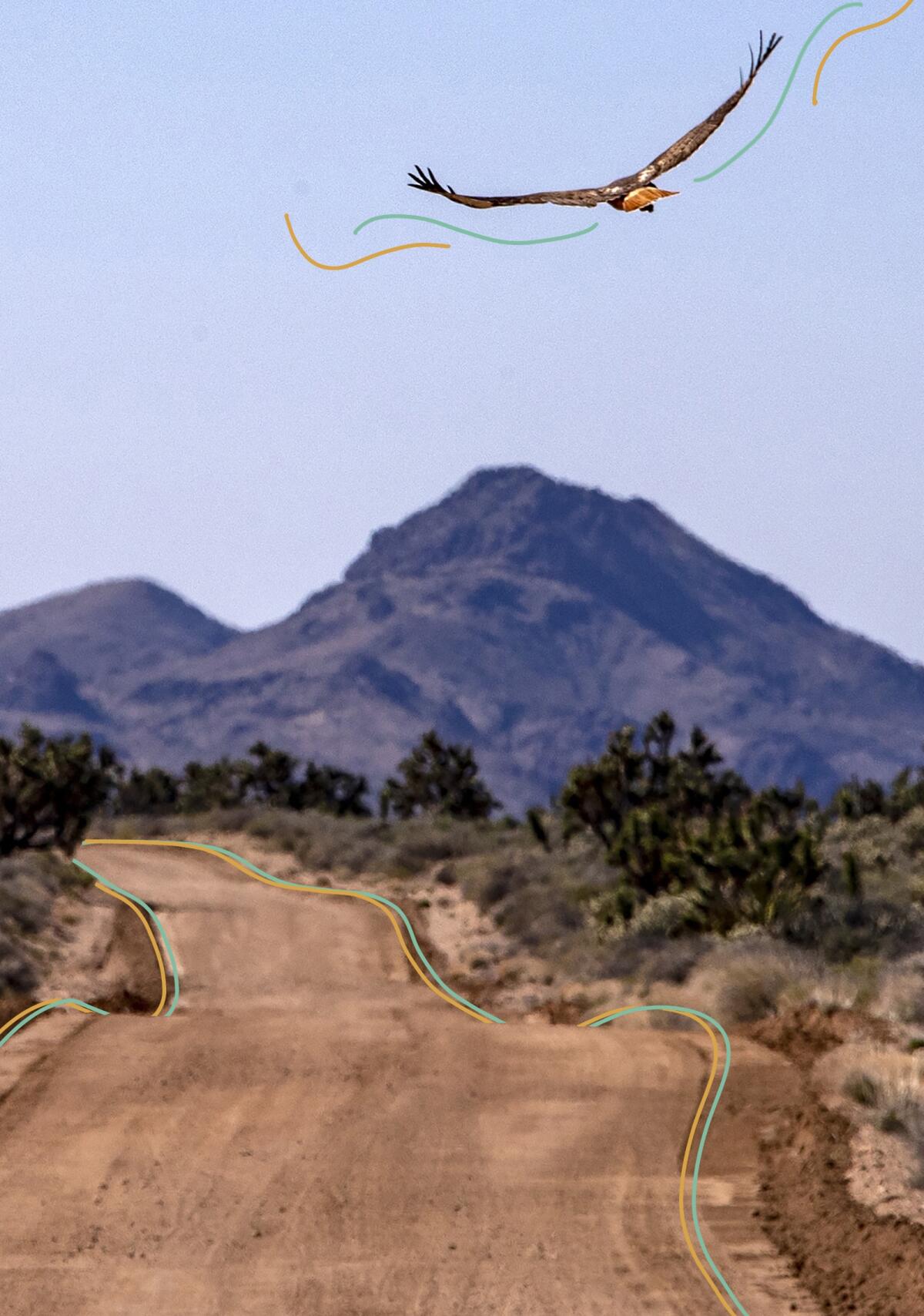 The historic Mojave Road runs through California's Mojave National Preserve.