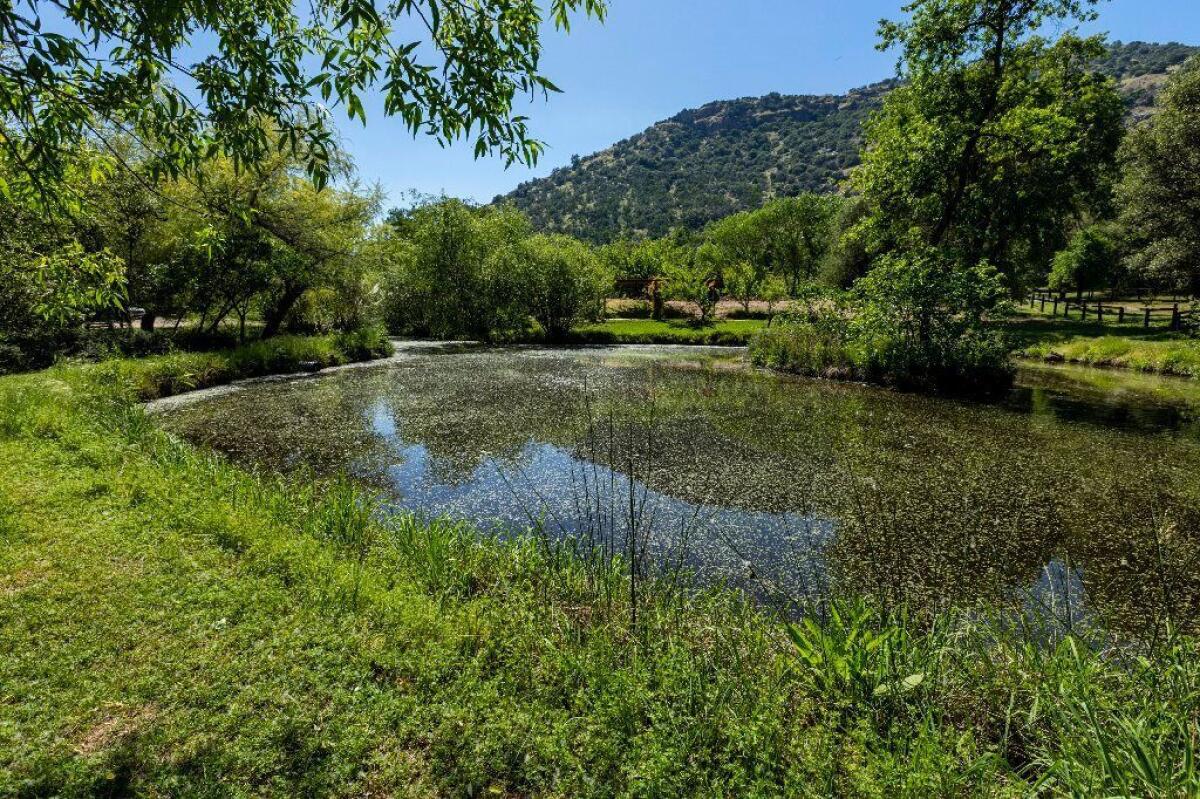 When Huston bought the 38-acre Flying Heart Ranch in the mid-1980s, the large pond was a dull brown and the surrounding land was mottled grass and mud.