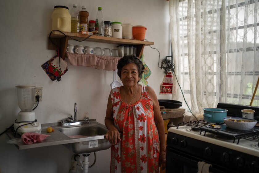 A woman stands in the kitchen of a house.