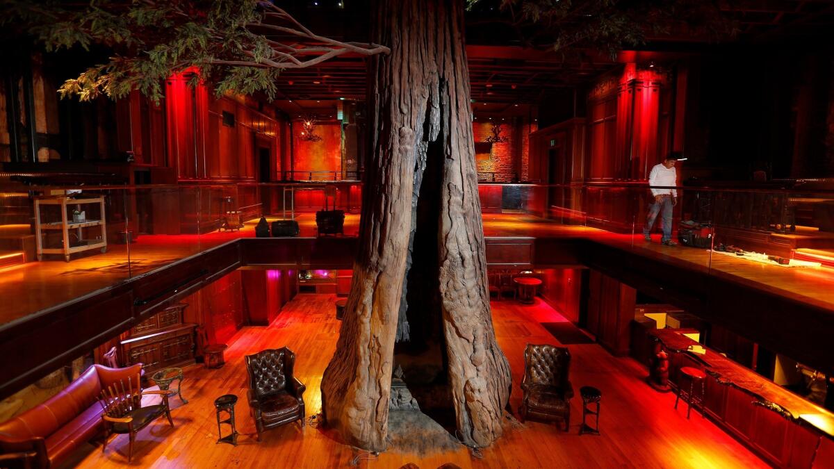 A giant fake redwood tree sprouts from the ground floor up four stories.