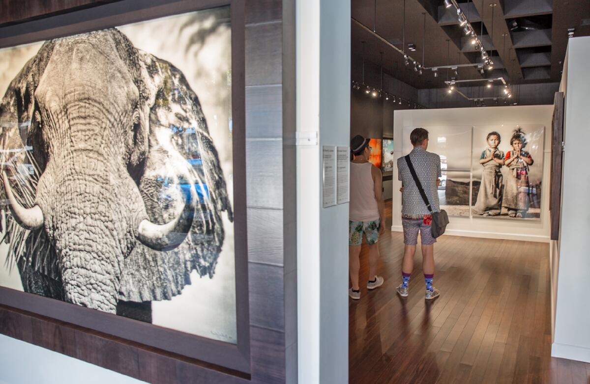 National Geographic opened a new fine art gallery at 218 Forest Ave. in Laguna Beach.