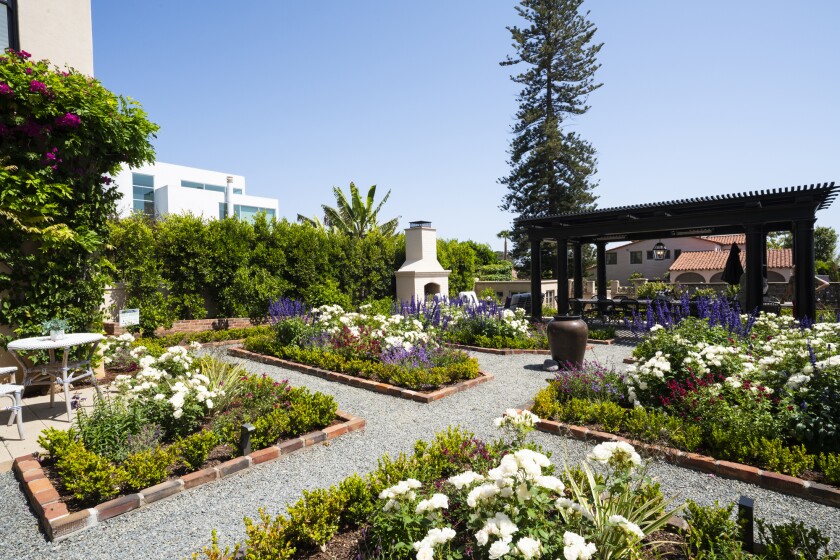 Blooms of purple and white dot flowerbeds with walkways in between.