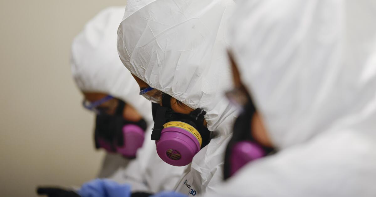In the fire zones, an immigrant workforce warily carries out cleanups