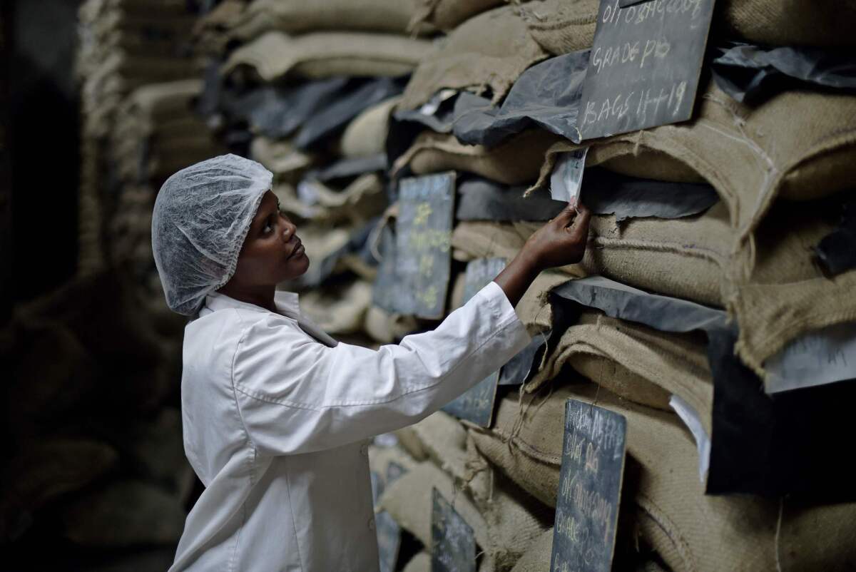 A worker checks the tags on sacks of unroasted coffee beans at a coffee factory in Nairobi, Kenya, in January 2016.