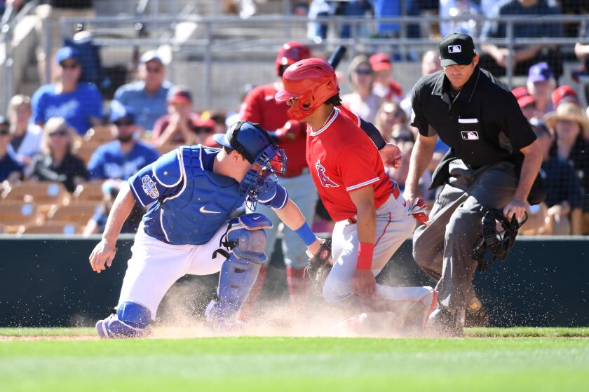 GLENDALE, ARIZONA - FEBRUARY 26: Michael Hermosillo #21 of the Los Angeles Angels is tagged out at home plate by Will Smith #16 of the Los Angeles Dodgers during the fourth inning of a spring training game at Camelback Ranch on February 26, 2020 in Glendale, Arizona. (Photo by Norm Hall/Getty Images) ** OUTS - ELSENT, FPG, CM - OUTS * NM, PH, VA if sourced by CT, LA or MoD **