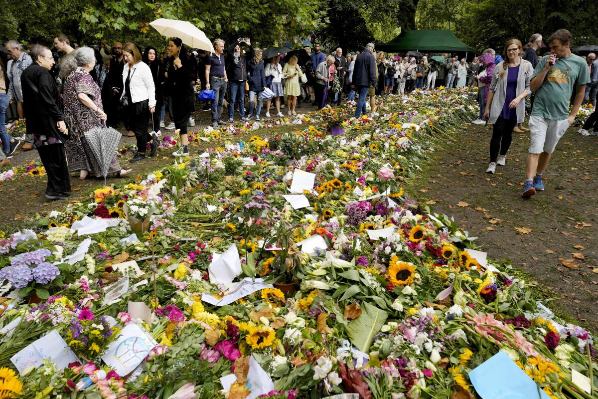 People gather in front of flowers on the ground