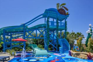 Guests staying at Disney's Paradise Pier Hotel can enjoy a “Finding Nemo” themed water play area beginning on Thursday.