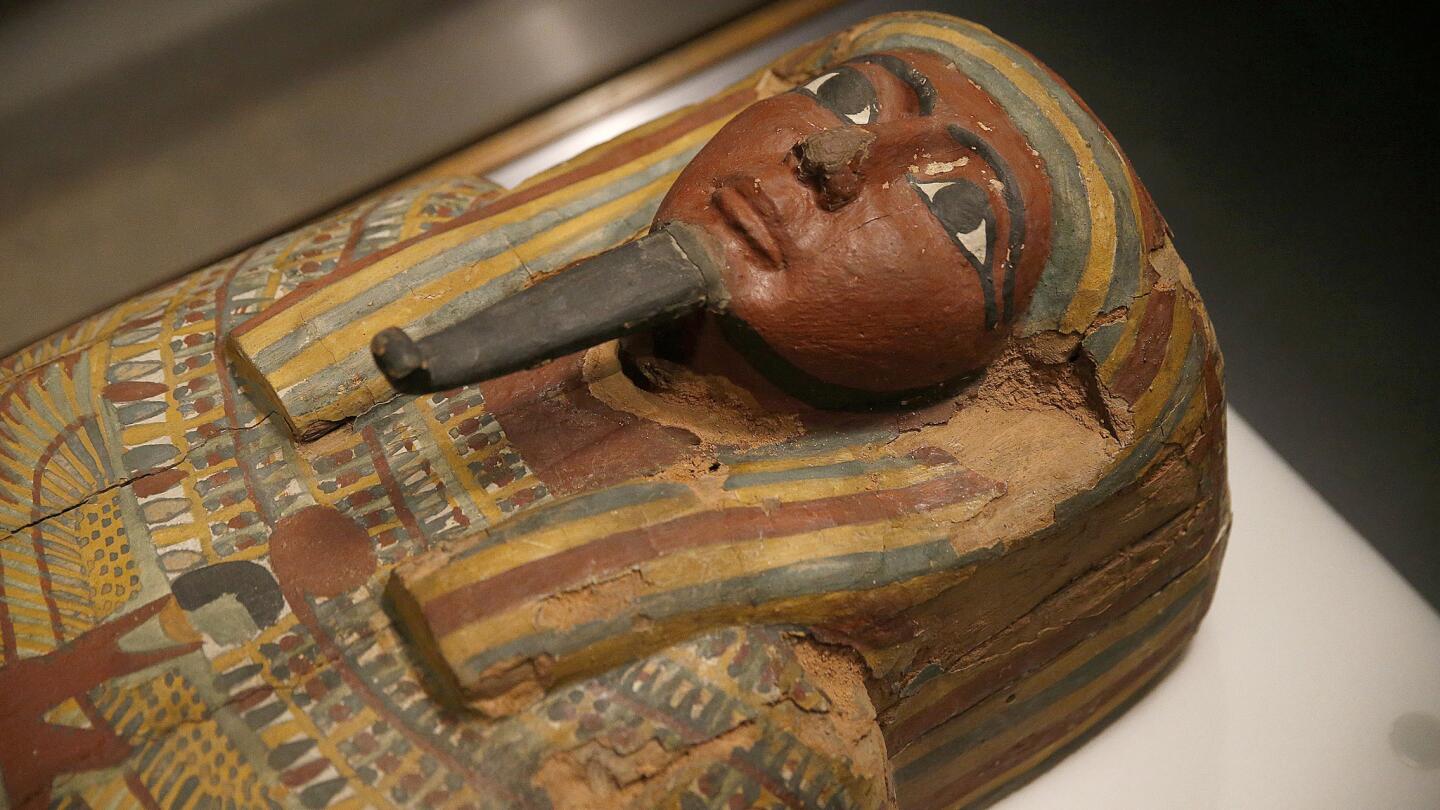 Unwrapping the mummies