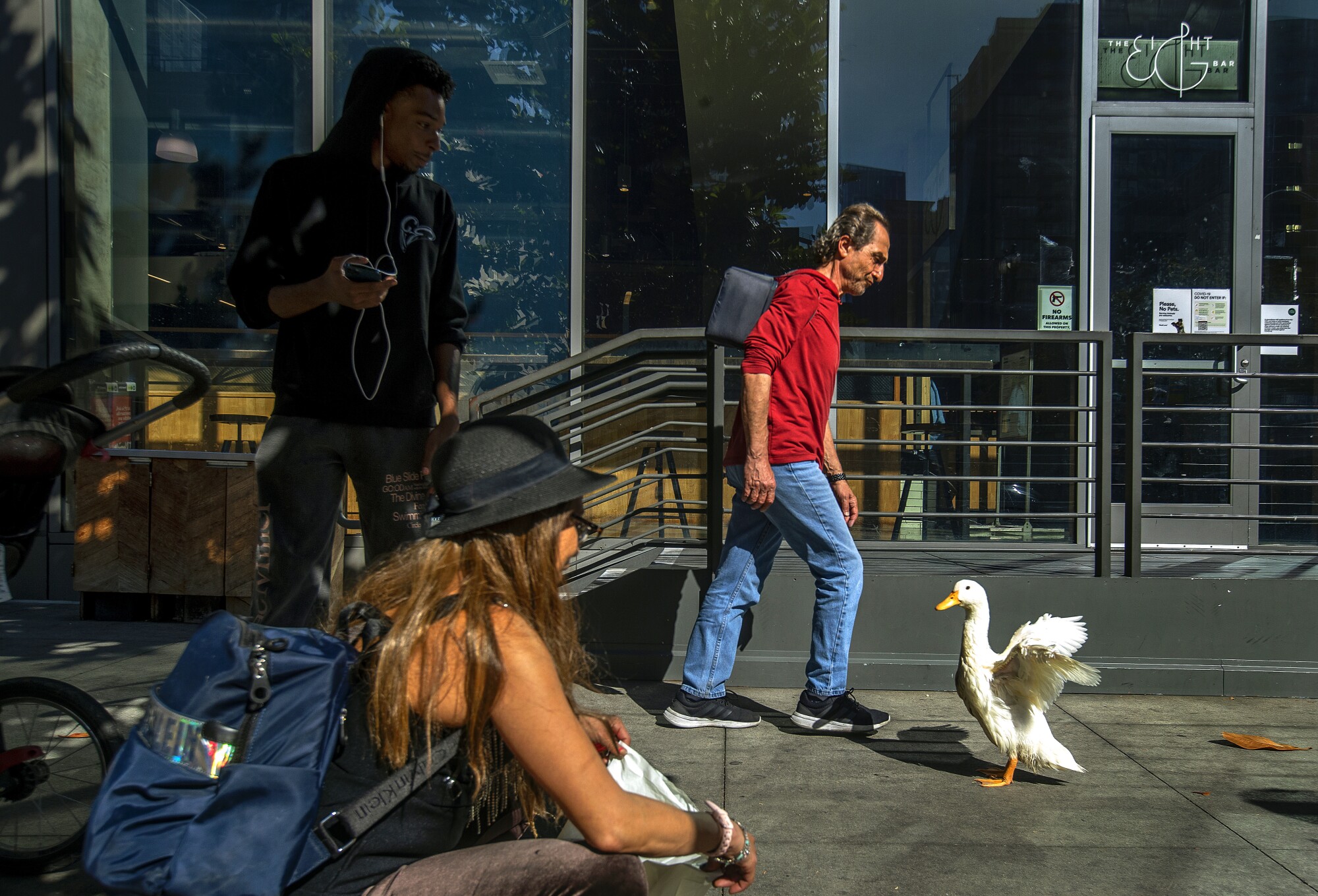 Autumn McWilliams, 33, left, wearing a wig, watches as her emotional support animal, a Pekin duck named Cardi D, flaps