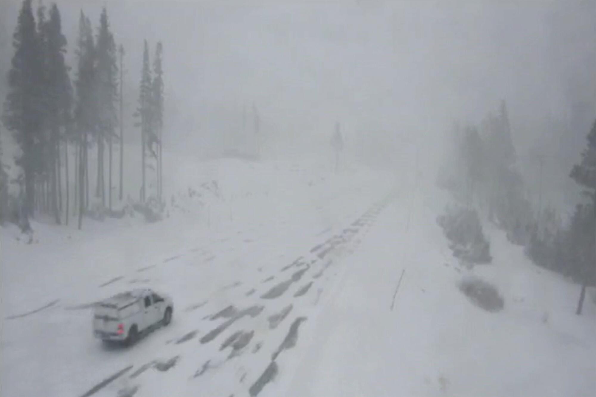 A truck makes its way through the snow with trees on either side of it