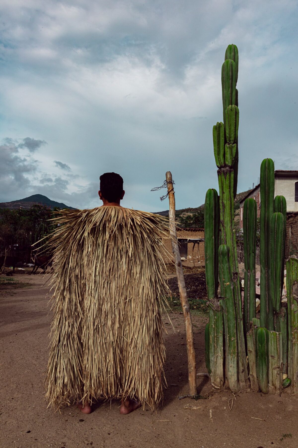 A photograph of a figure next to a cactus.