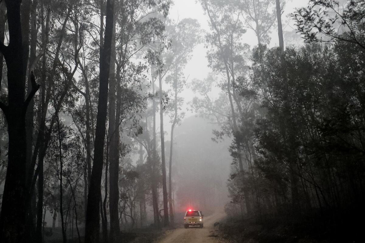 Members of a fire and rescue crew drive through a charred forest outside Cann River, Australia, on Tuesday.