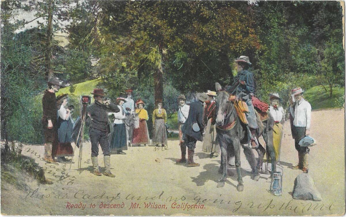 Men in suits and hat, women in dresses and a man riding a burro