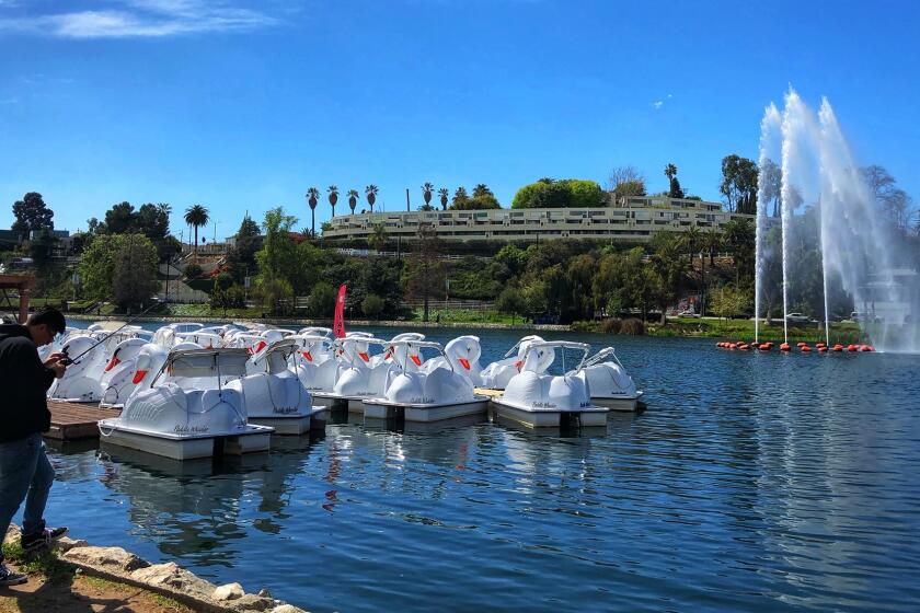 A fisherman casts his line near the idle paddleboats of Echo Park Lake.