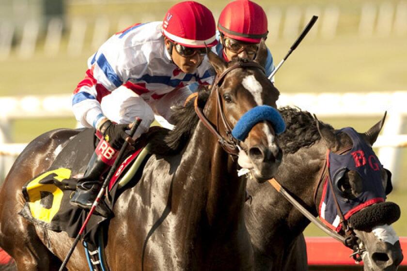 Donald R. Dizney's Surfcup and jockey Rafael Bejarano, left, hold off Fighting Hussar with jockey Victor Espinoza, right, to win the $300,000 Snow Chief Stakes horse race at Betfair Hollywood Park on Saturday.