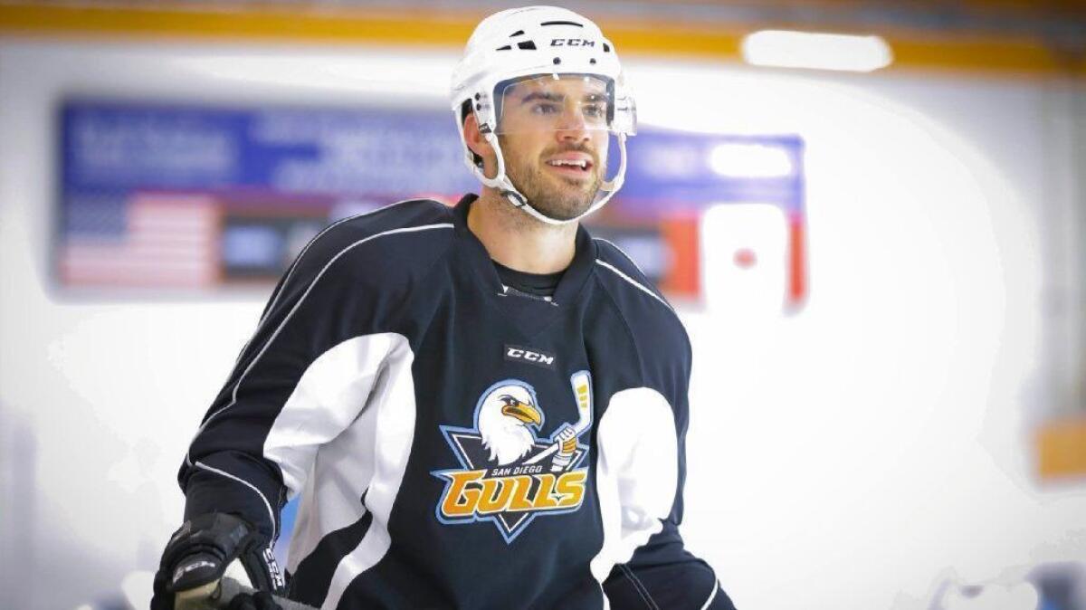 A Look Back: Building The Gulls Brand
