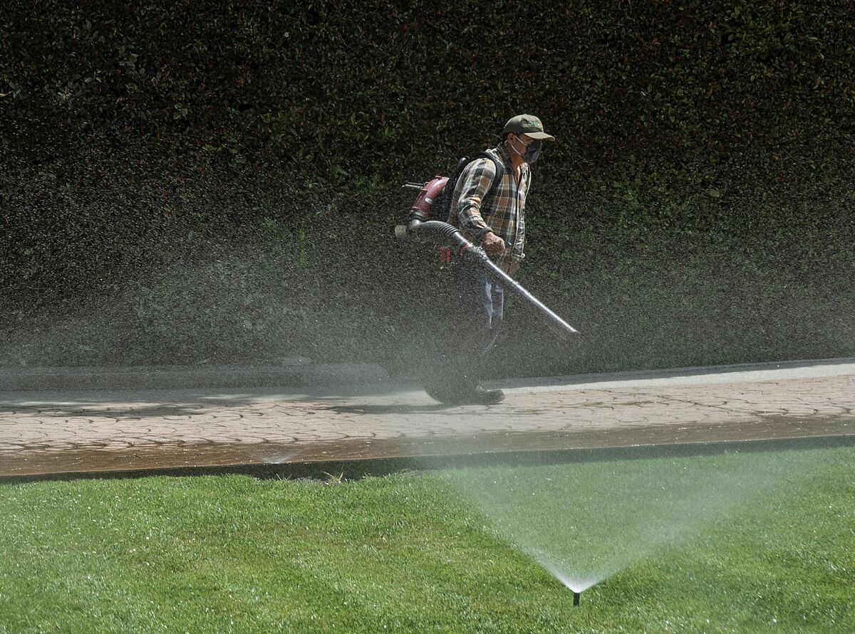 A man in a plaid shirt uses a leaf blower near a green lawn that's under a spray of water from a sprinkler.