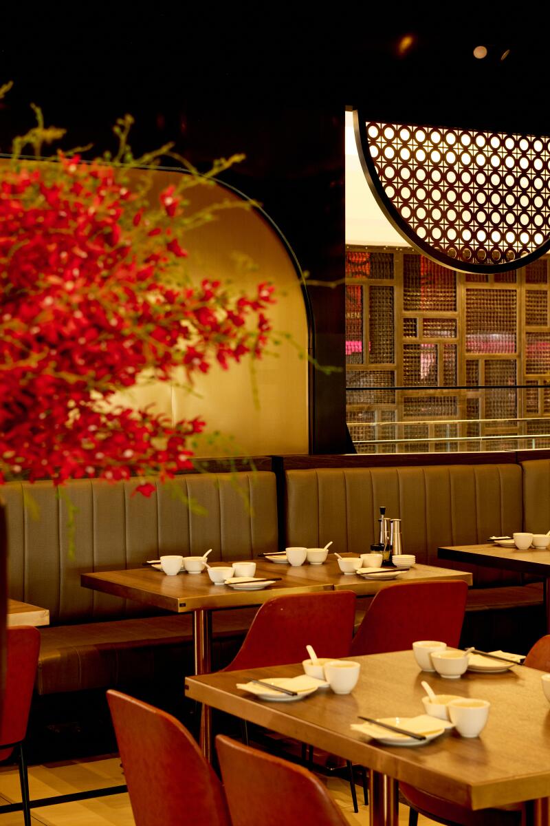 Restaurant tables and chairs, with a red-leafed tree 