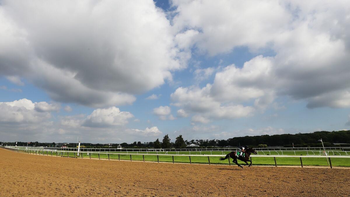 A general view of a horse and Exercise Rider training prior to the 151st running of the Belmont Stakes at Belmont Park on Friday in Elmont, N.Y.
