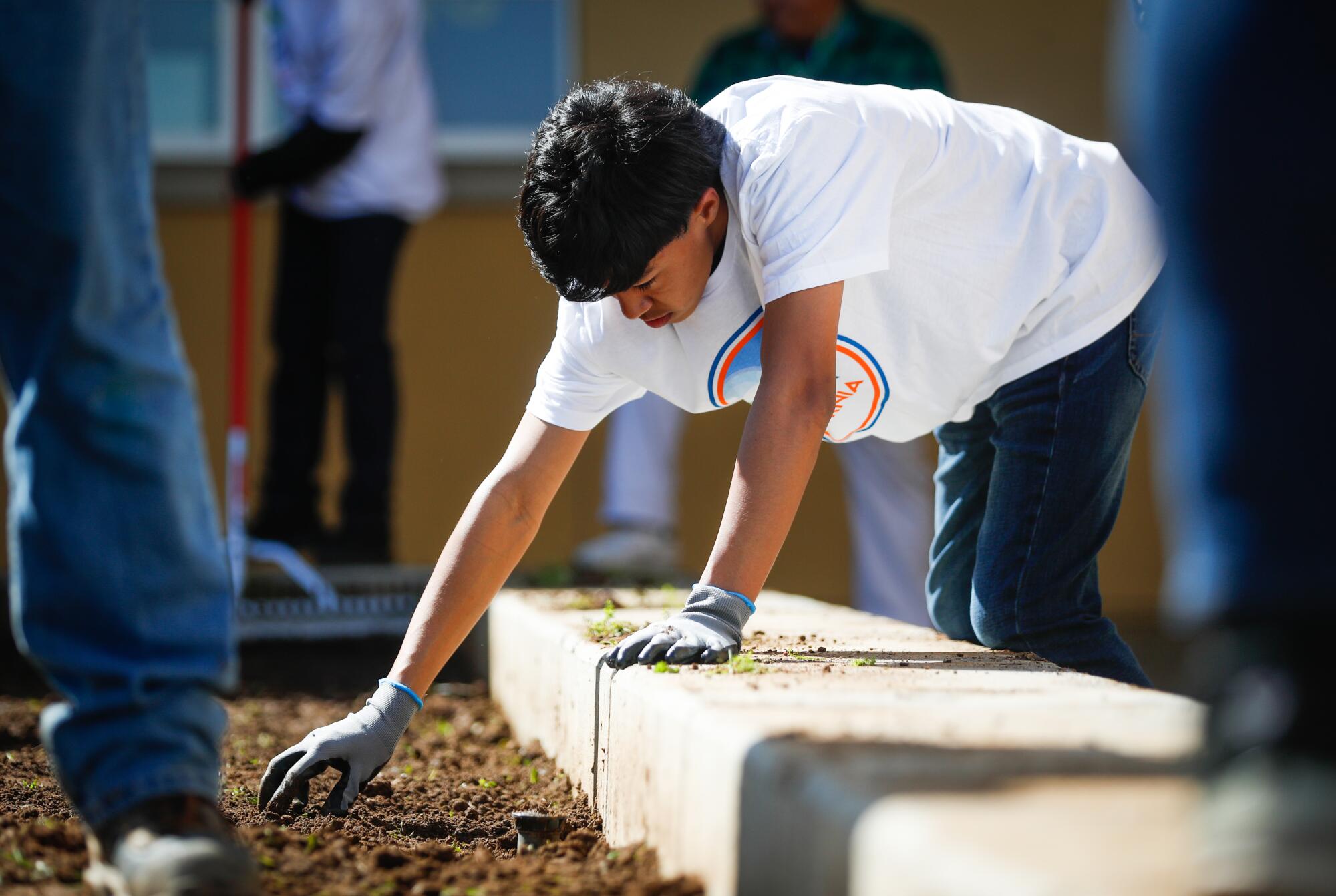 A student wearing garden gloves reaches into the dirt.