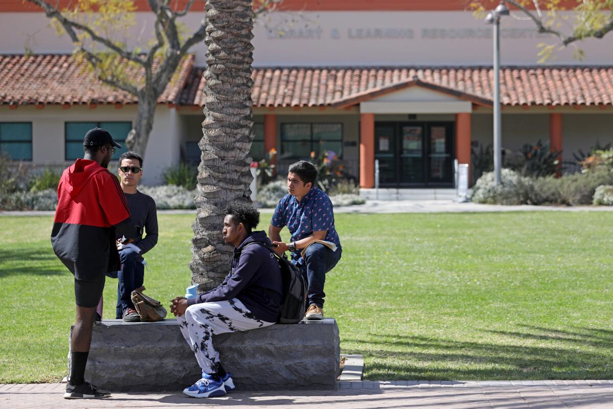 Four students gather under a palm tree at Long Beach City College