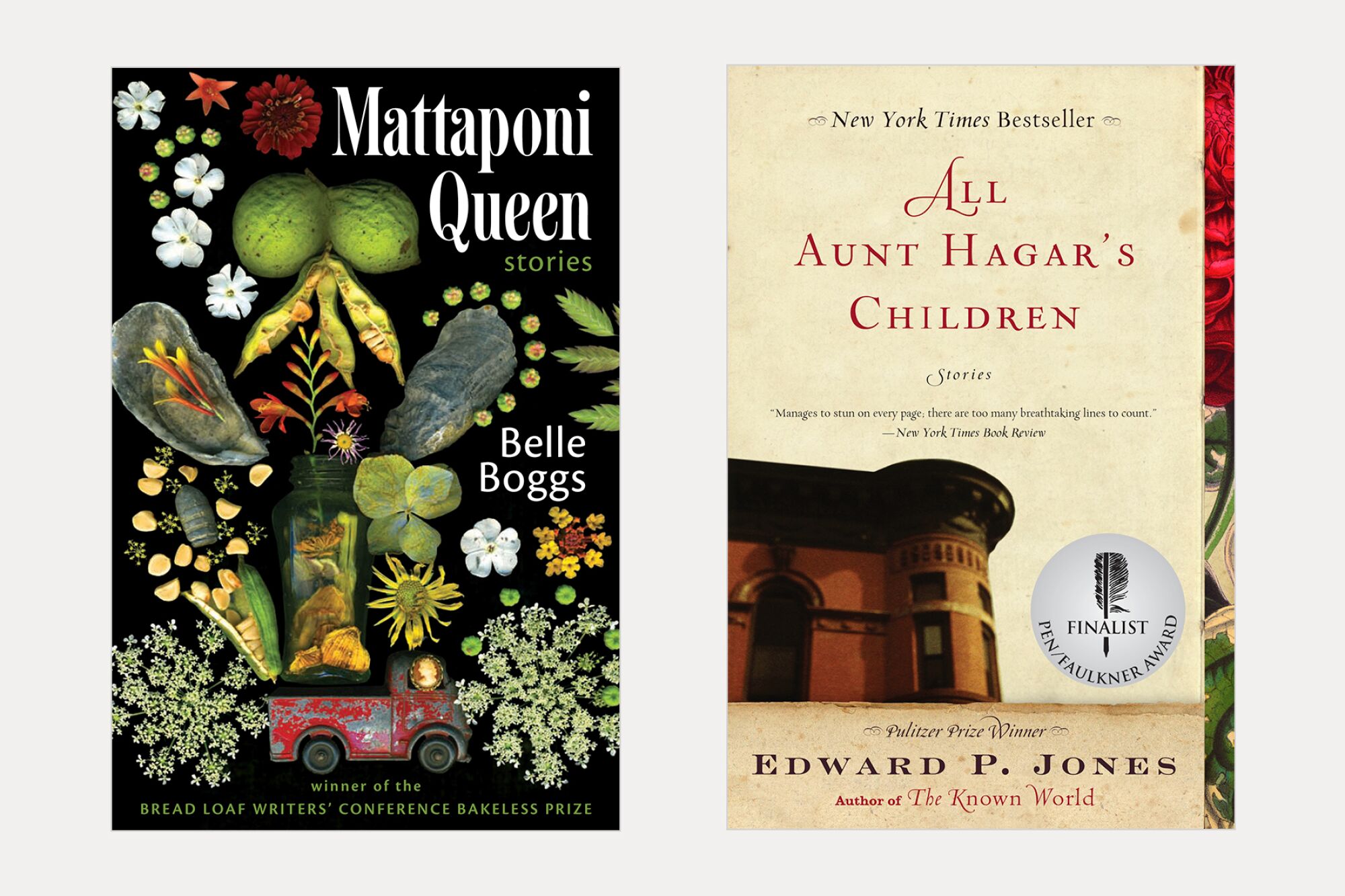 iki kitap kapağı: Belle Boggs'tan Mattaponi Queen ve Edward P. Jones'tan All Aunt Hagar's Children