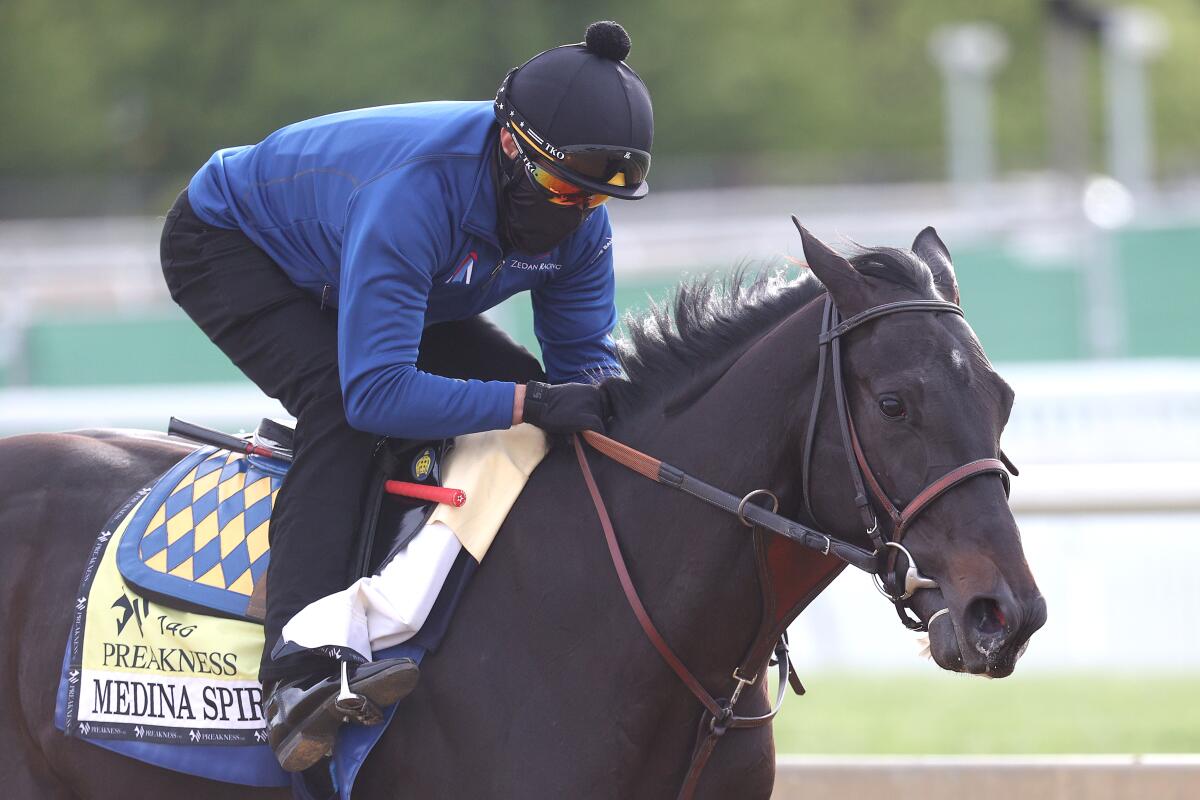 Exercise rider Humberto Gomez takes Kentucky Derby winner Medina Spirit over the track before the Preakness Stakes.