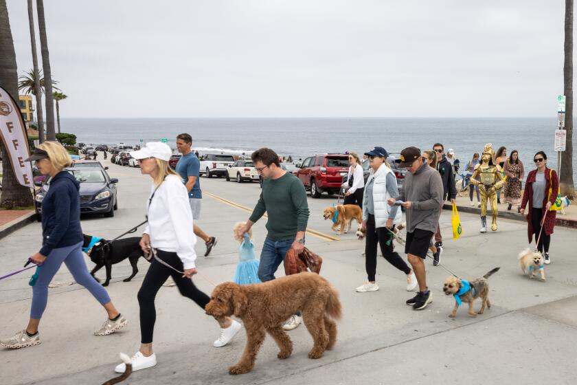 La Jolla Mutt Strutters are joined on the route by Dude Vader (Chris Canole, at right).