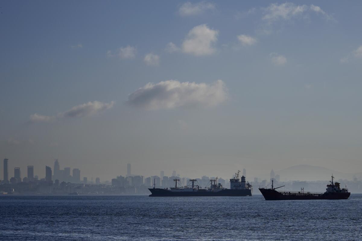 Cargo ships anchored in the Marmara Sea