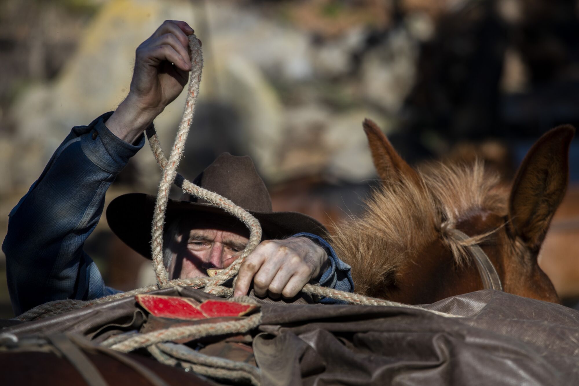 Doug Smith tying packs on a mule