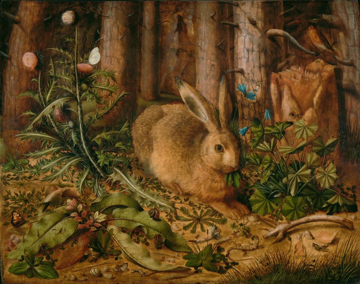 Hans Hoffmann, “A Hare in the Forest,” circa 1585, oil on panel