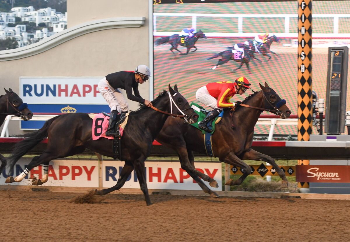 Azul Coast racing to his victory.