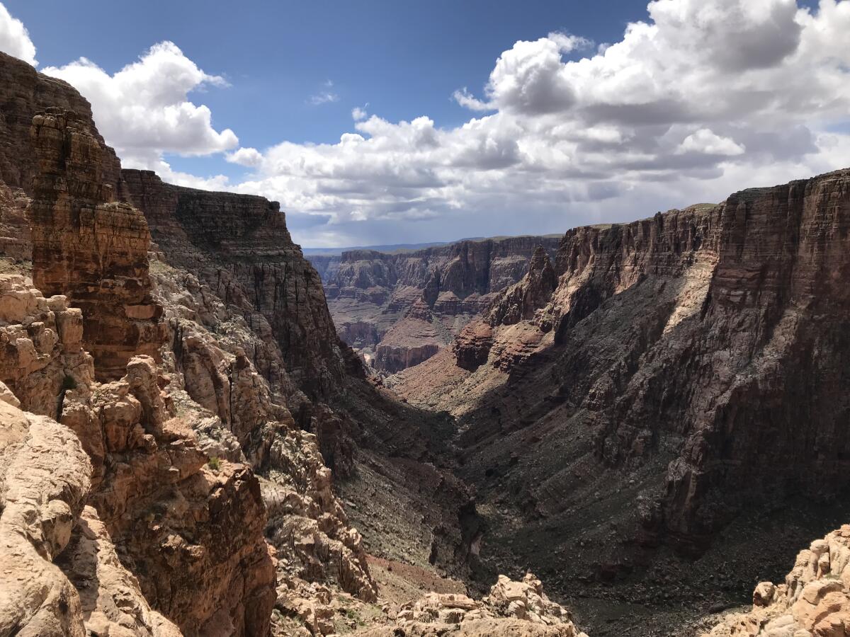 Salt Trail Canyon