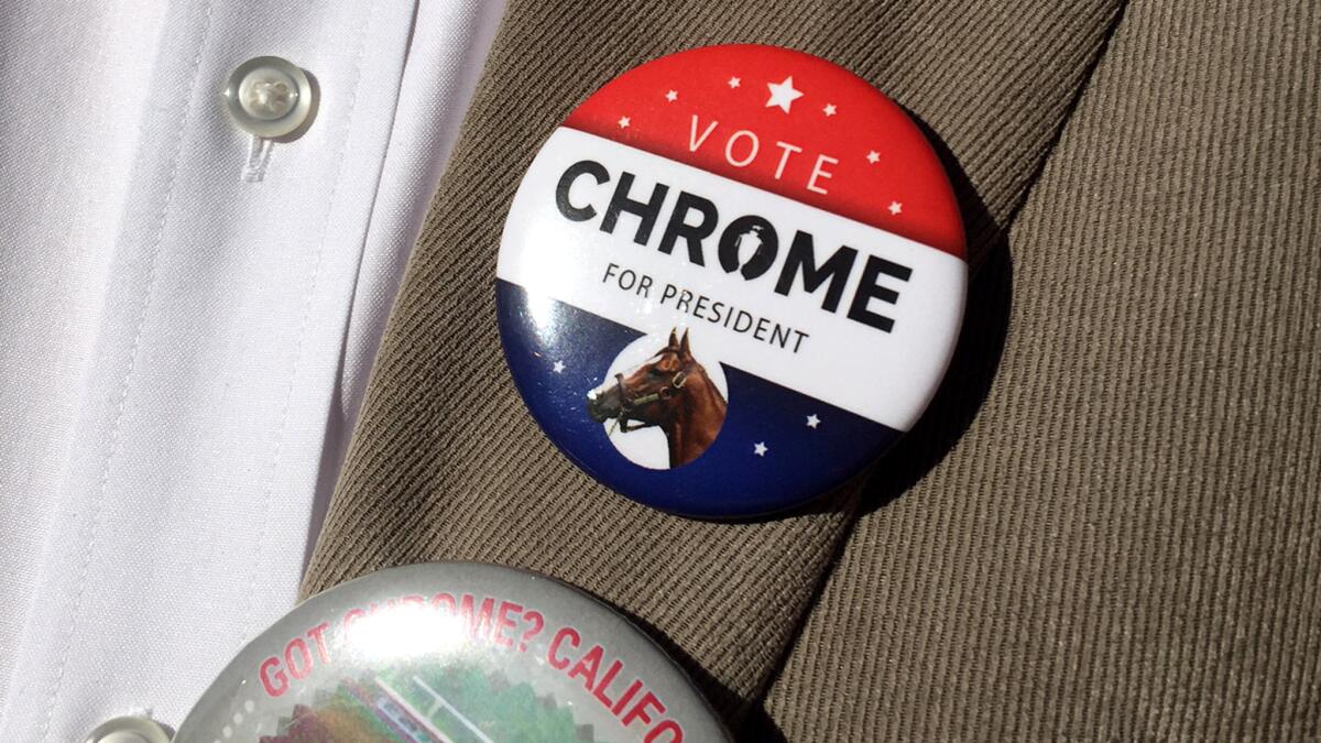 California Chrome co-owner Perry Martin sports a button in support of his horse.