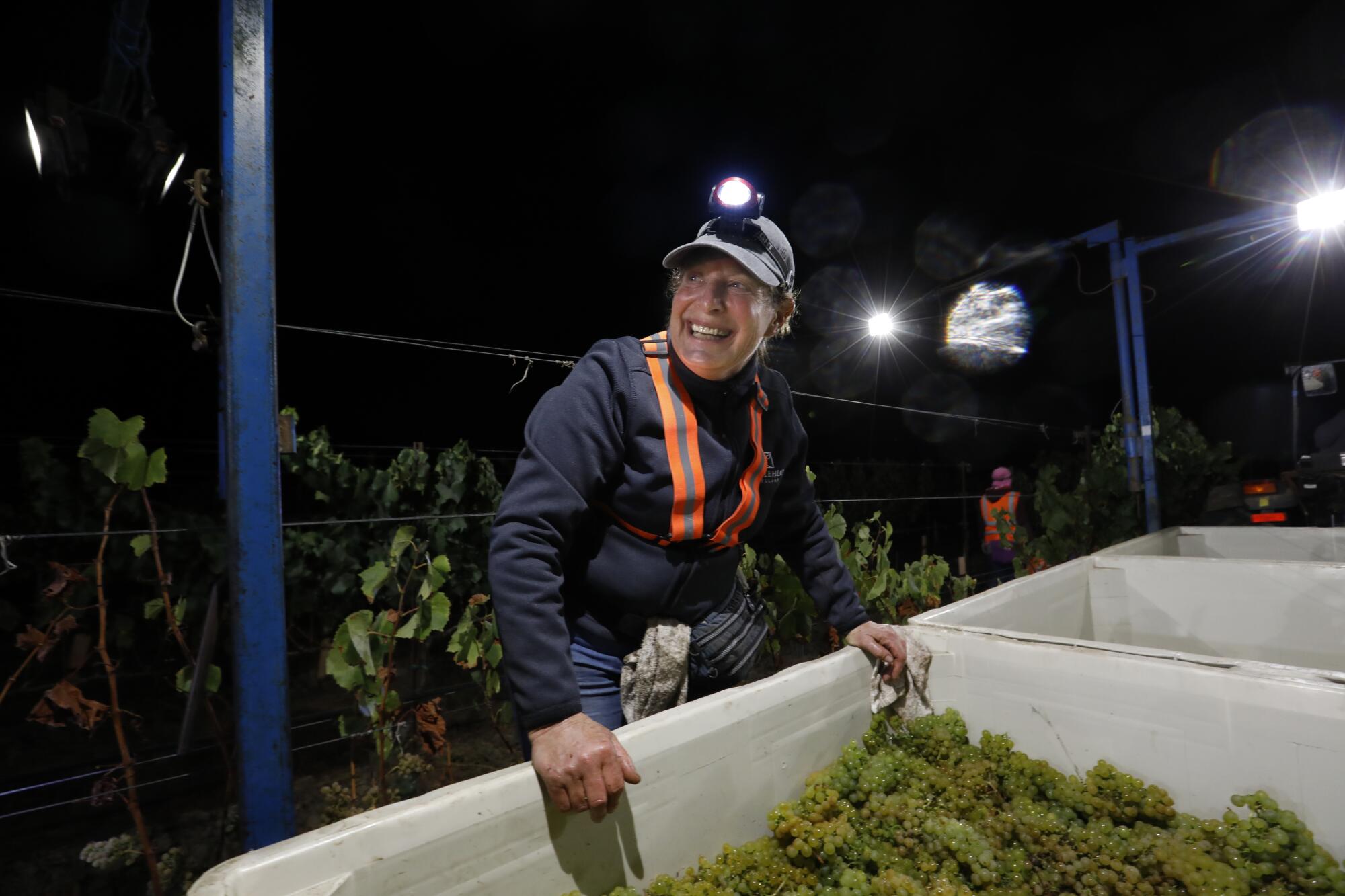 Kathy Joseph harvests Chardonnay grapes along with the crew in Lompoc.