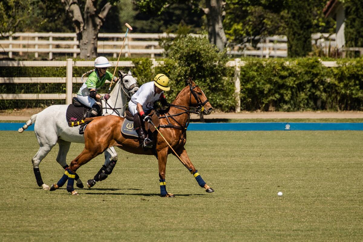 La Herradura in Santa Ynez.