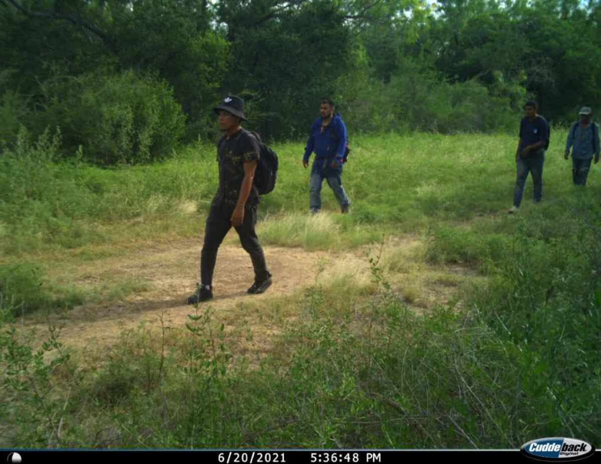 Migrants filmed by a game camera on the ranch Cole Hill manages outside Uvalde, Texas.
