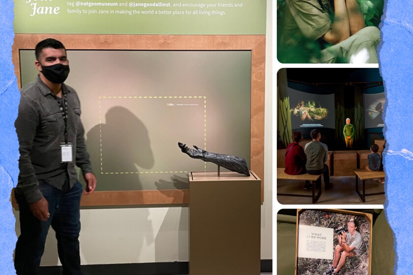 Miguel Ordeñana, left, and images and artifacts in the "Becoming Jane" exhibition at the Natural History Museum of L.A. County.
