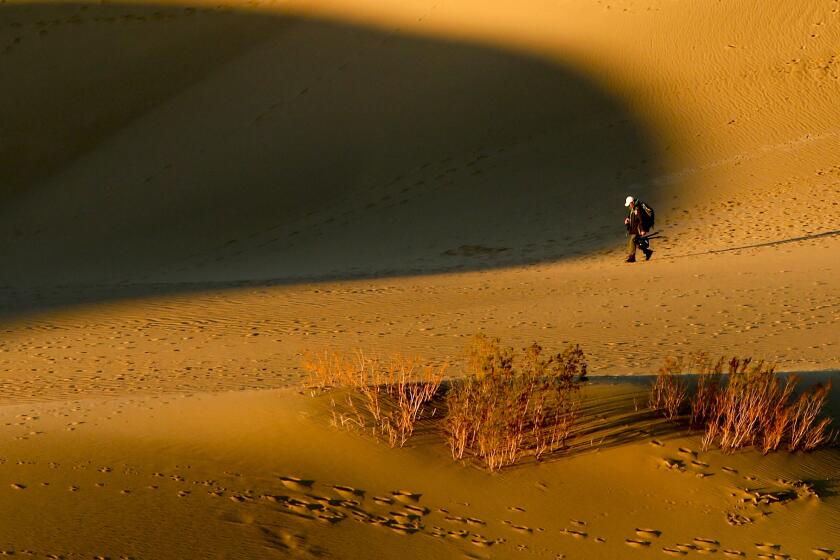 Bathed in early morning light, a photographer crosses Mesquite Flat Dunes in Death Valley National Park.