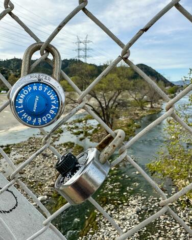 Locks on the Sunnynook Pedestrian Bridge.