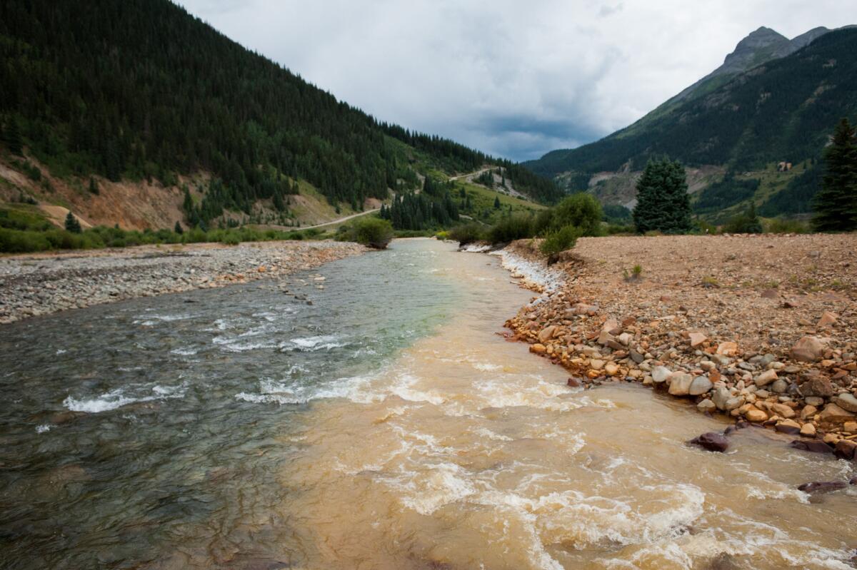 Cement Creek, which was flooded with millions of gallons of mining wastewater, merges with the Animas River in Silverton, Colo.