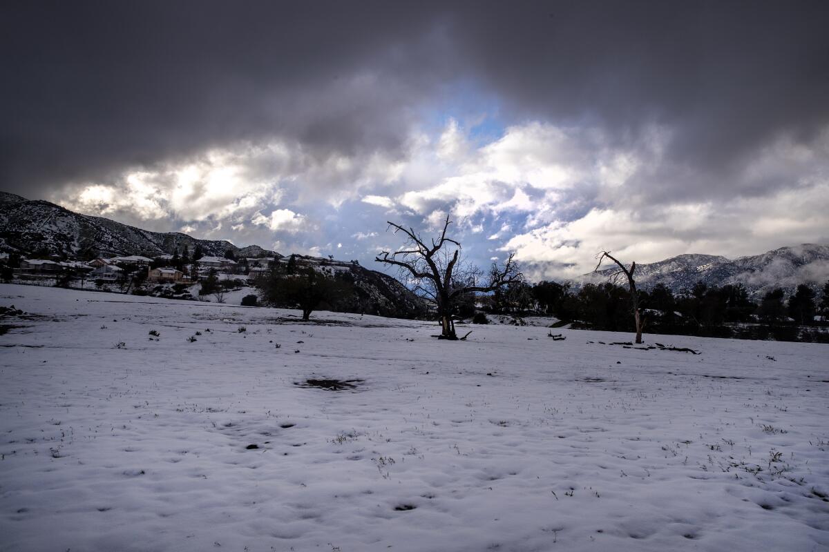 A snow-covered pasture in Yucaipa, east of San Bernardino. 