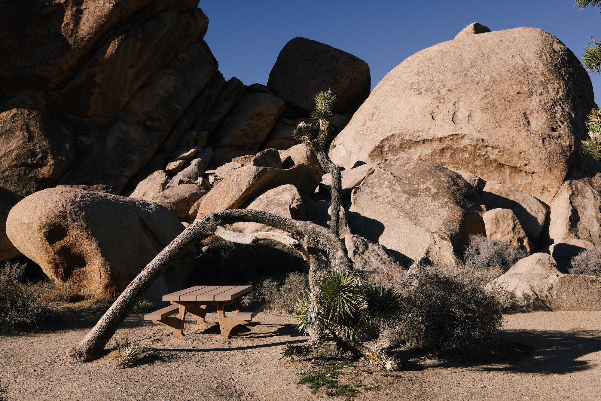 Fans of rock star Gram Parsons have consistently visited Cap Rock at Joshua Tree.