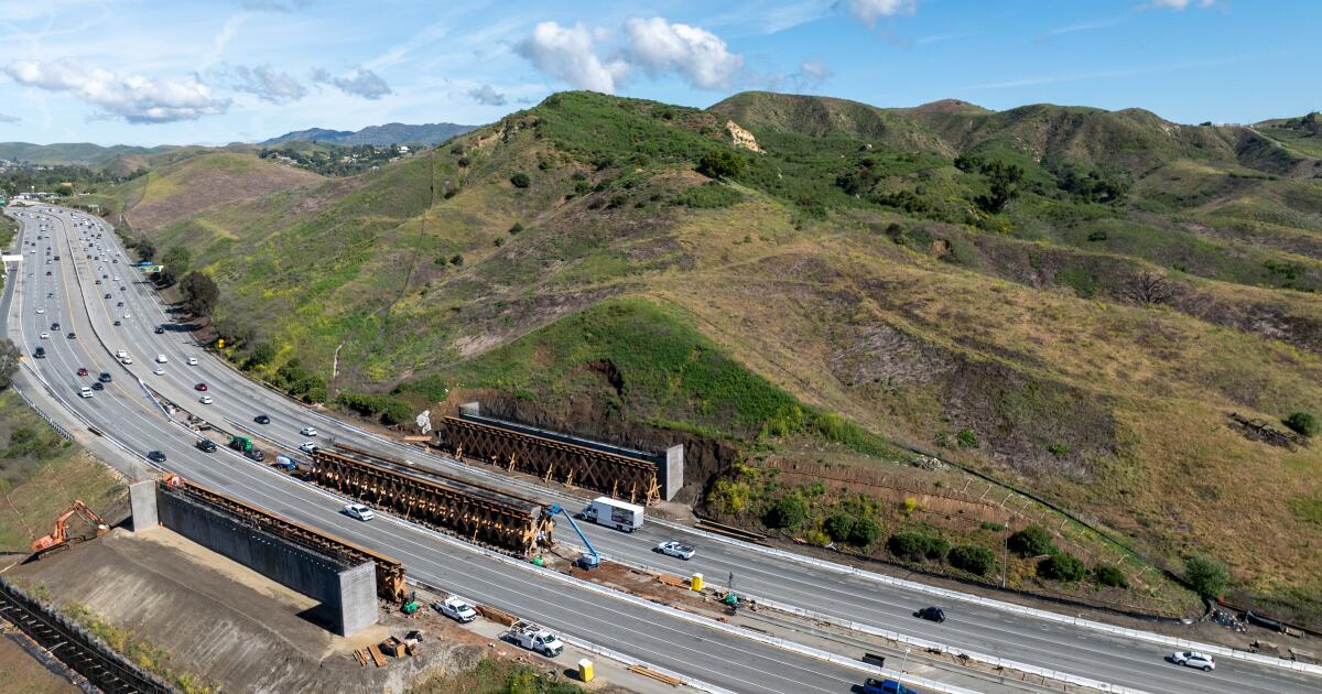 Initiative goals to spice up wildlife crossings throughout California