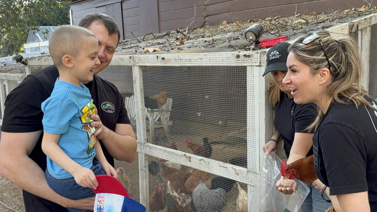 Andrew Pennington holds his son, Evan, as Danielle Judd and a volunteer show him a chicken.