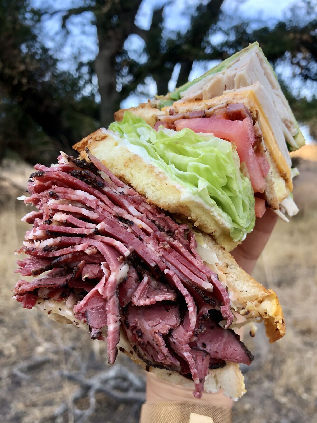 When hiking in the Conejo Valley, you want Brent's Deli black pastrami. The club sandwich was less sensible.