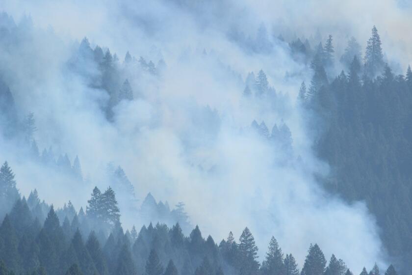 Smoke hovers over the forest amid the August Complex fire, on Sept. 22, 2020