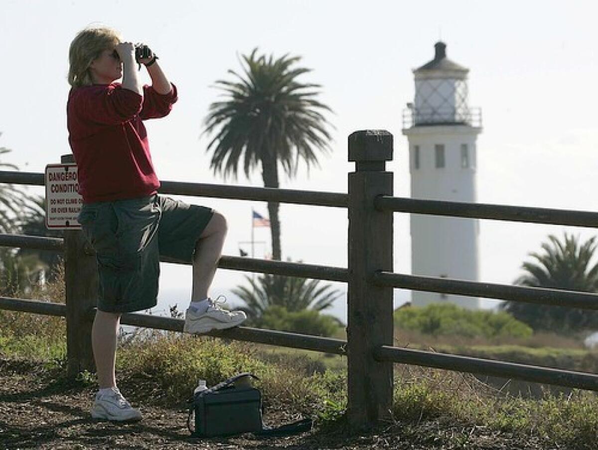 Chris Lobkowicz, a visitor from Atlanta, checks the horizon off Point Vincente for migrating whales.