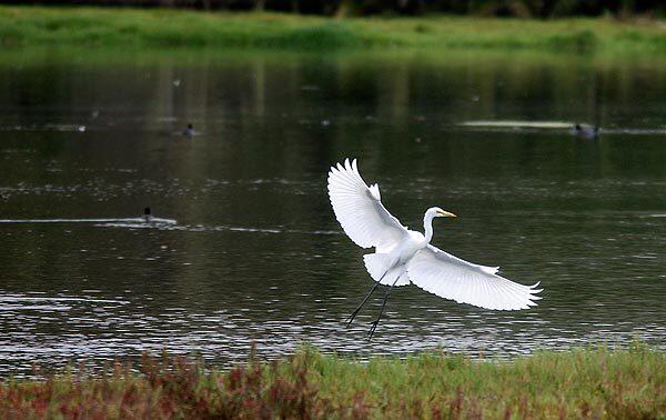 Malibu Lagoon