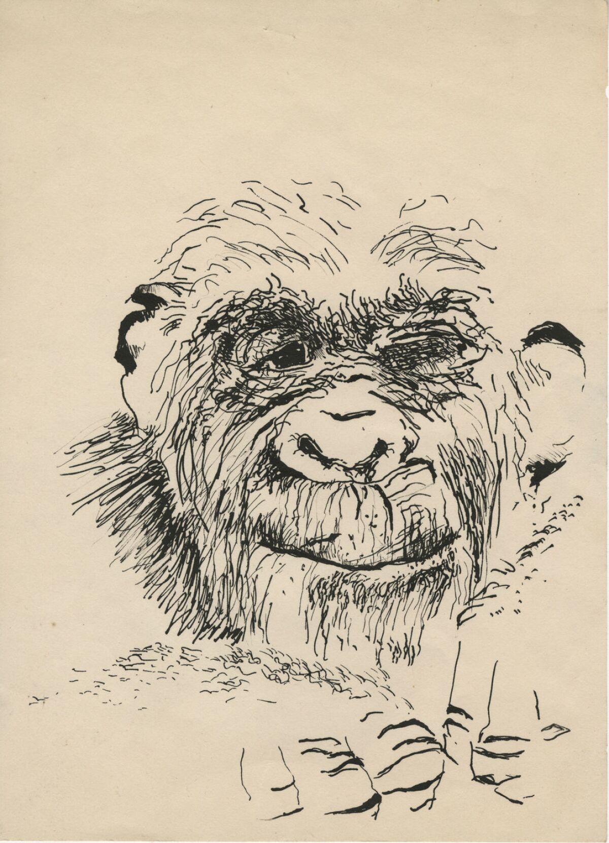 Paul McCarthy's self portrait as a monkey, drawn when he was in high school.